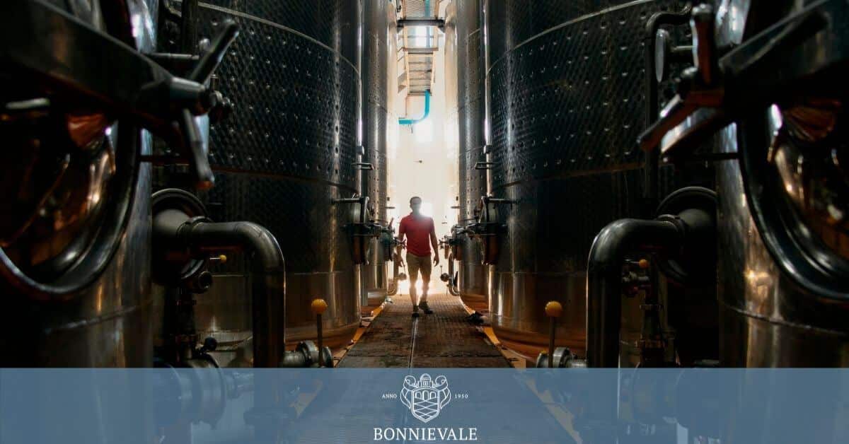 Reflection - Bonnievale Wines
