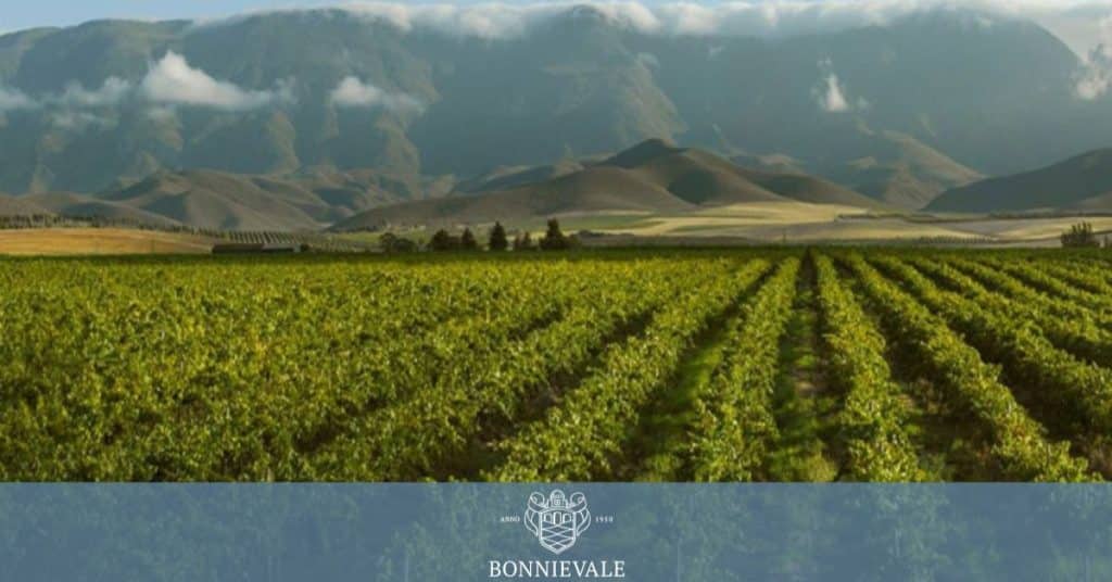 Bonnievale Eco-Friendly Winery