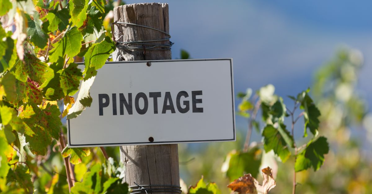 Pinotage Sign in Vineyard